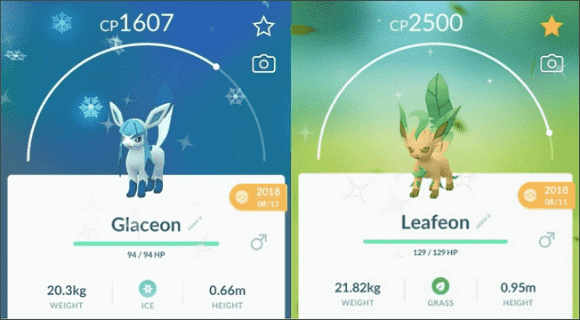 Glaceon et Leafeon