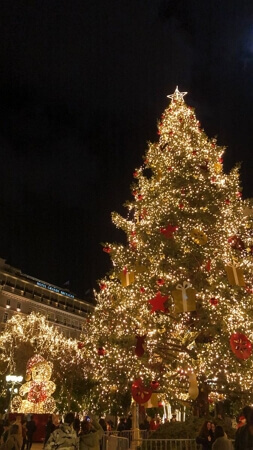 Fond d'écran sapins de Noël extérieur