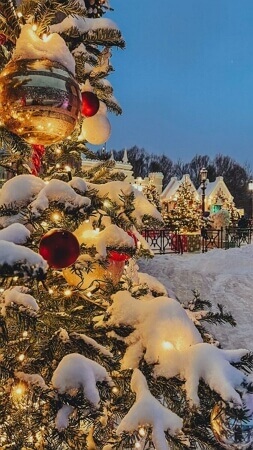 Papier peint sapin de Noël Neige