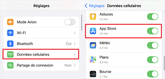 autorisez l’accès à l’App Store avec les données mobiles