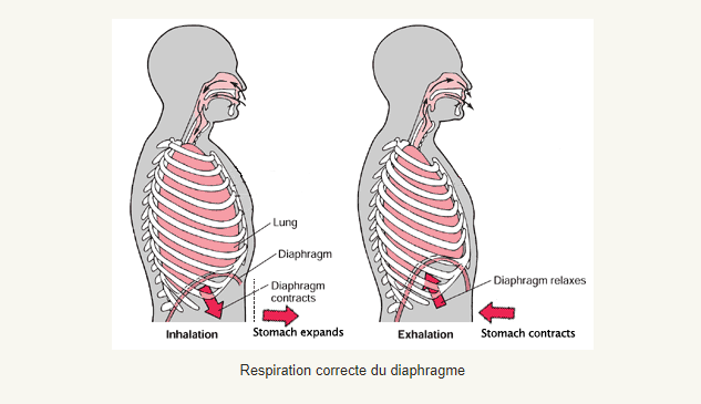 respiration correcte du diaphragme