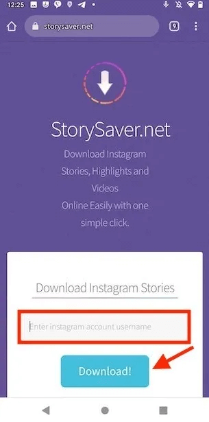  StorySaver - Visionneuse de compte Instagram privé