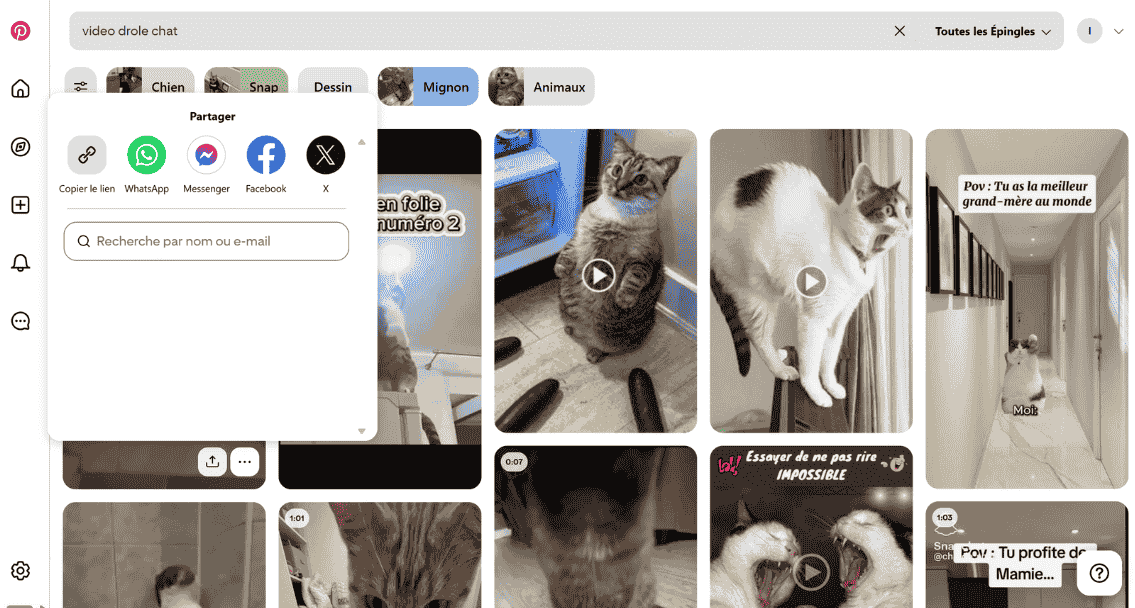 Télécharger des vidéos avec Pinterest Video Downloader