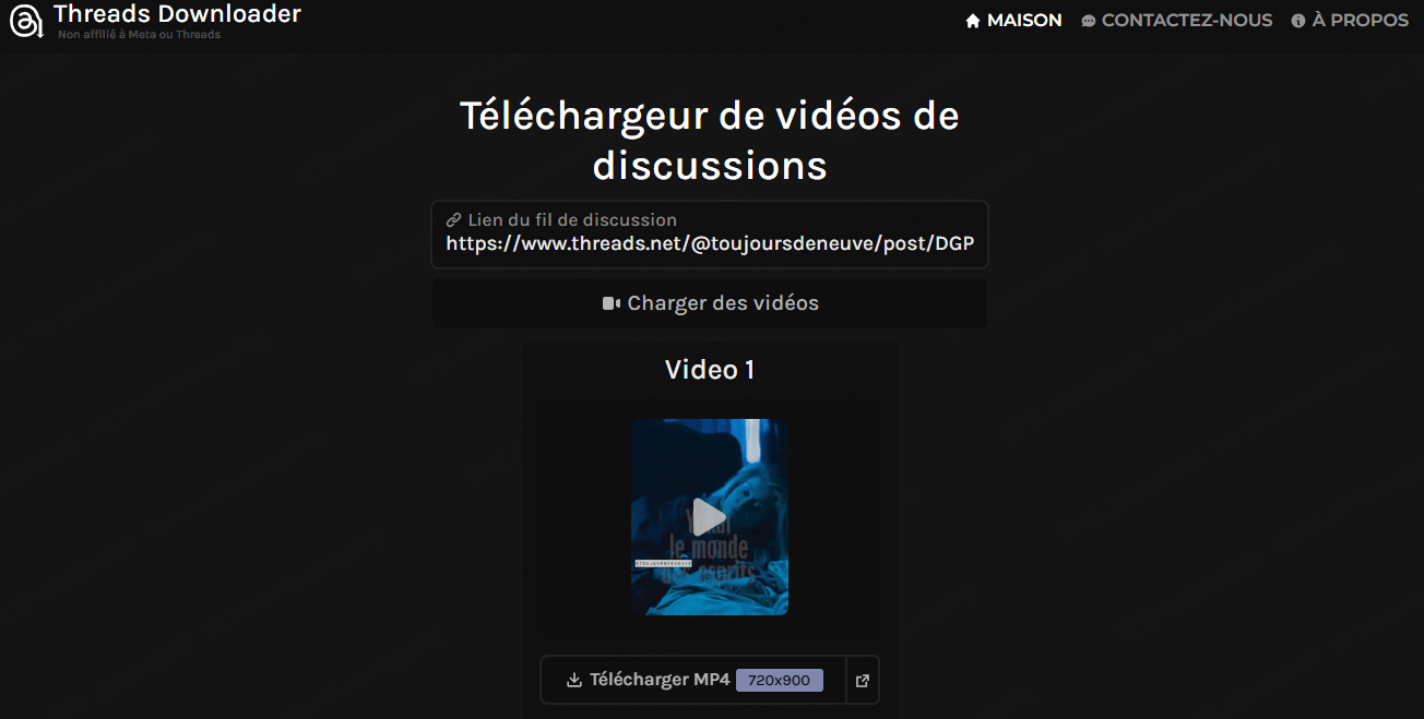 téléchargement de vidéos Threads en ligne