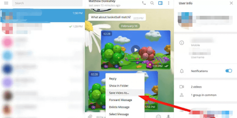 télécharger des vidéos de Telegram directement sur PC
