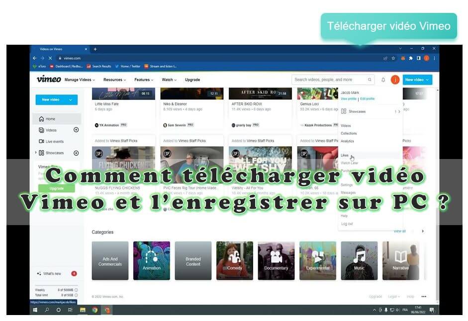 Télécharger de vidéos Vimeo