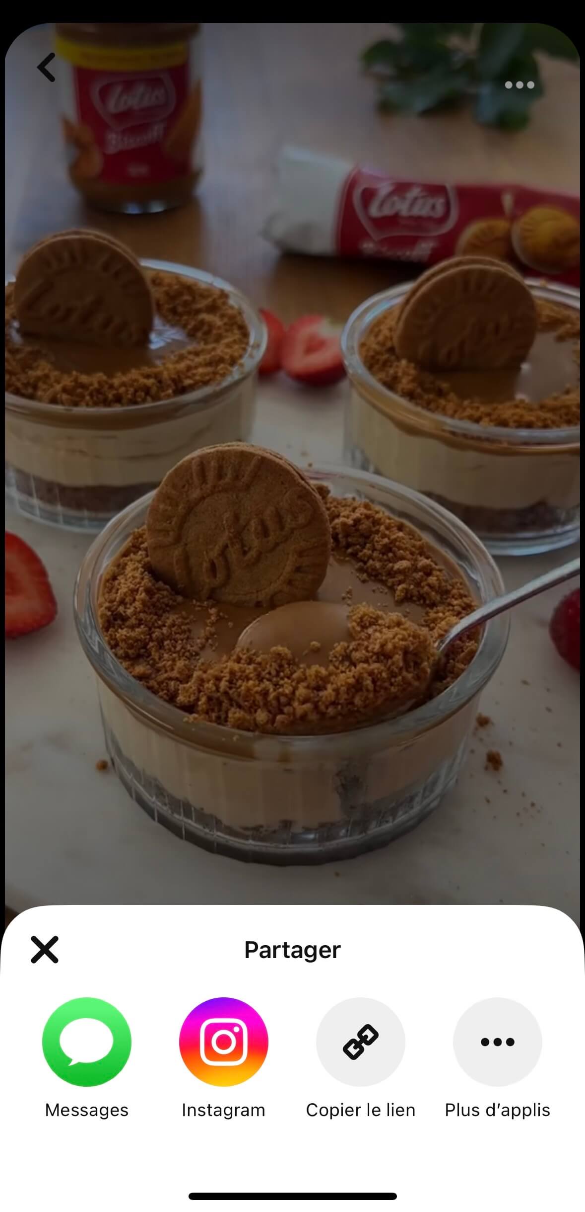 Partager le lein Pinterest pour le téléchargement de la vidéo
