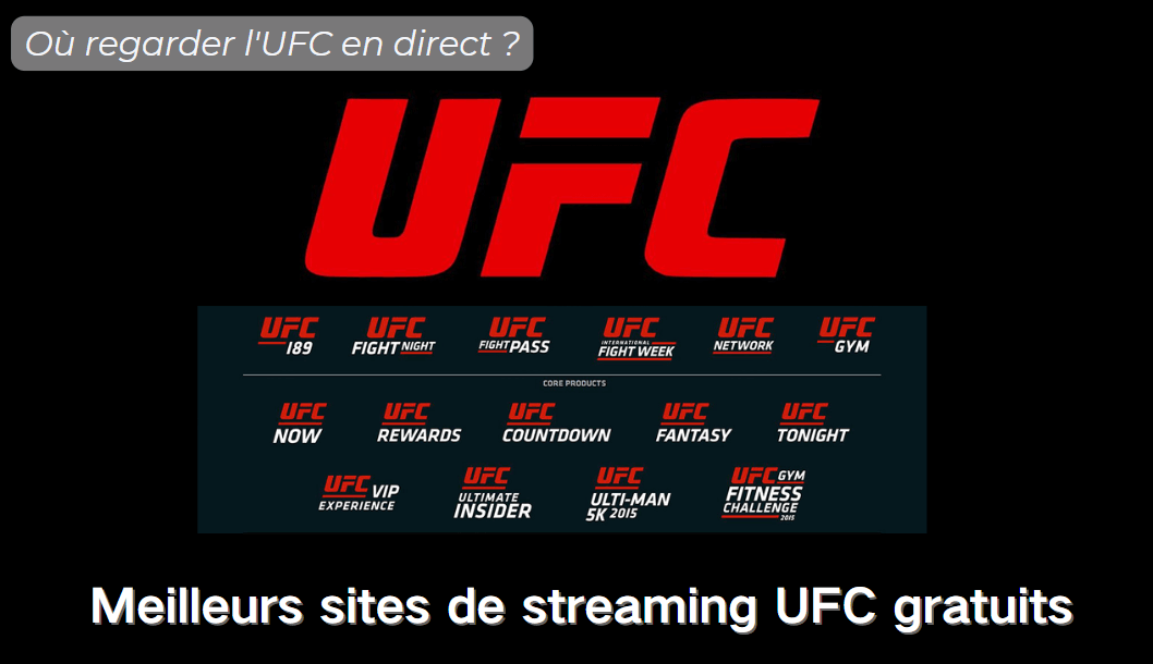 interface du blog, sites pour regarder UFC en direct