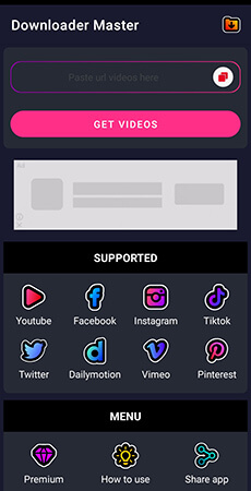 Interface de Video Download Master