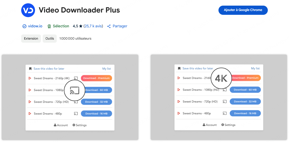 Video Downloader Plus, l'extension Chrome de téléchargement de vidéos