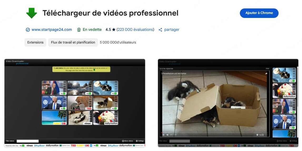 Video Downloader Professional, une extension Chrome pour télécharger des vidéos