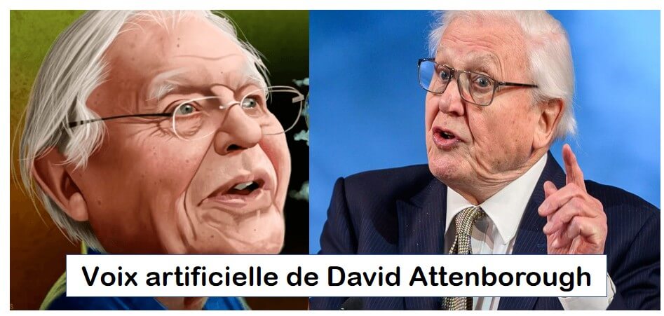 Qu'est-ce que la voix artificielle de David Attenborough ?