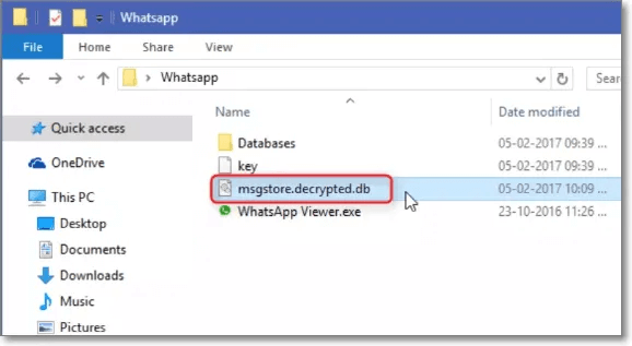 Importer les fichiers dans WhatsApp Viewer