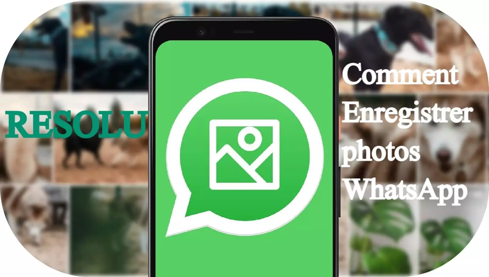 Comment enregistrer des photos WhatsApp (iOS et Android)?