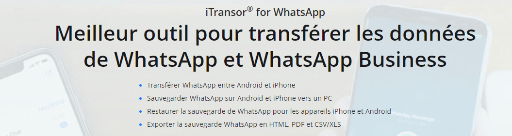 Sauvegarder les Données WhatsApp Sur PC avec iTransor for WhatsApp