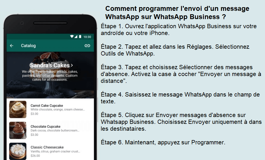 Comment programmer l'envoi d'un message WhatsApp sur WhatsApp Business 