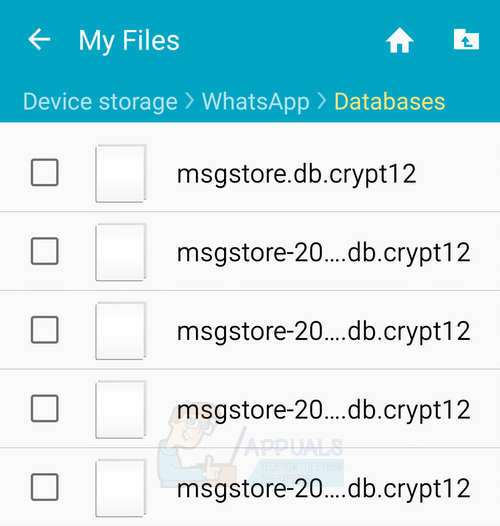 msgstore.db.crypt12 whatsapp