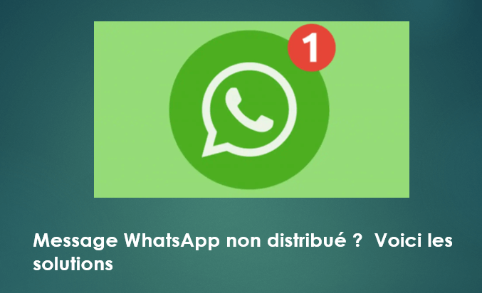 message whatsapp non distribué