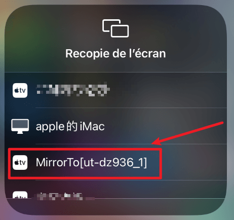 Choisir MirrorTo
