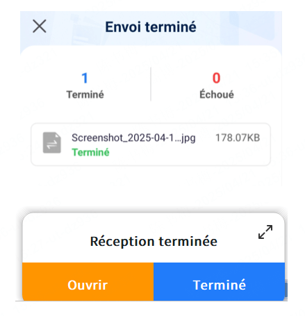 MirrorTo Transfert de fichier terminé