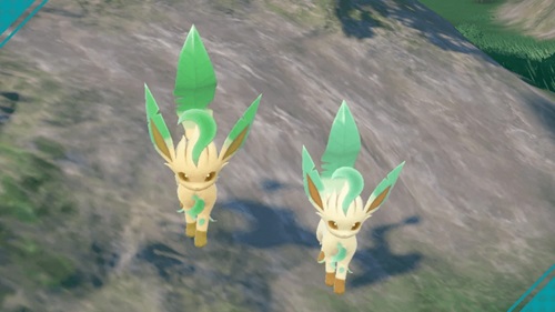 fényes Leafeon és a normál