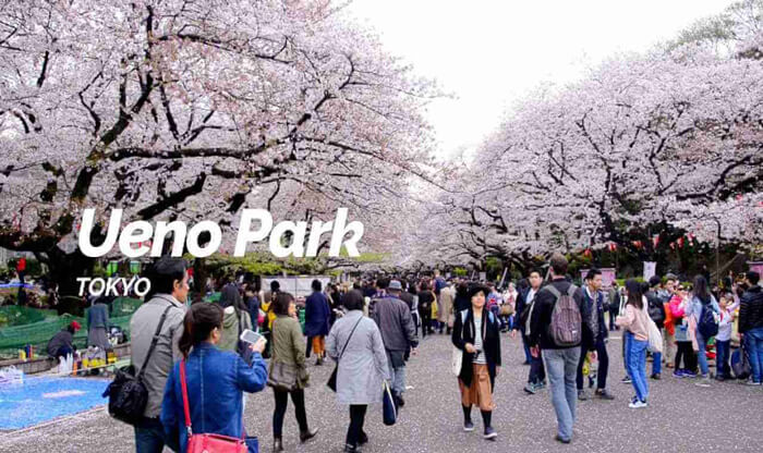 ueno park tokió