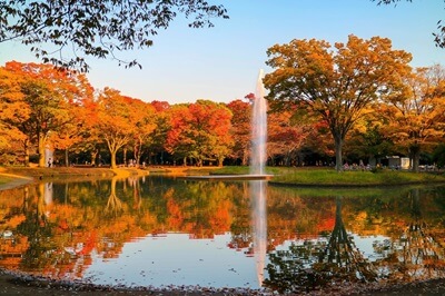 yoyogi parkja