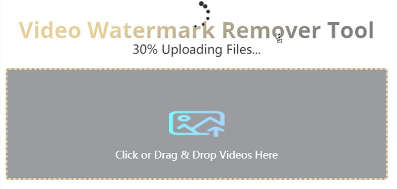 watermark remover proses video