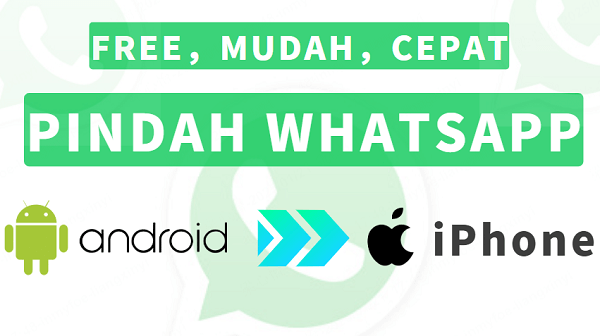 4 Cara Memindahkan WhatsApp Dari Android Ke iPhone（Gratsi&Mudah&Cepat）