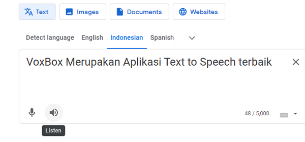 alat text to speech Indonesia Google Translate