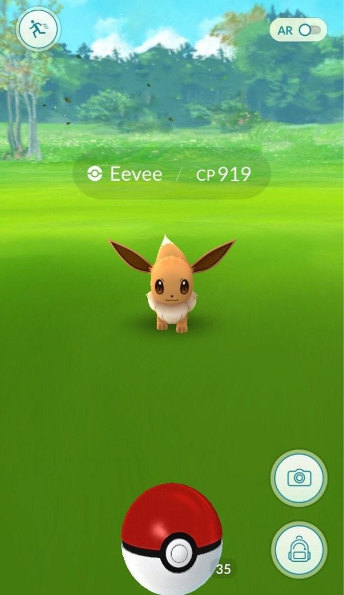 Shiny Evoli Pokémon GO in der Wildnis auftauchen