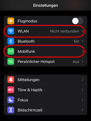 iPhone Netzwerkstatus prüfen