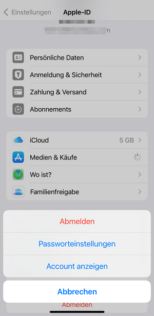 Überprüfen Sie die Apple ID-Zahlungsinformationen