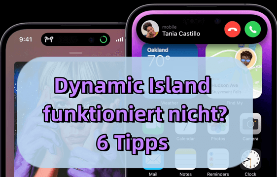 Dynamic Island funktioniert nicht