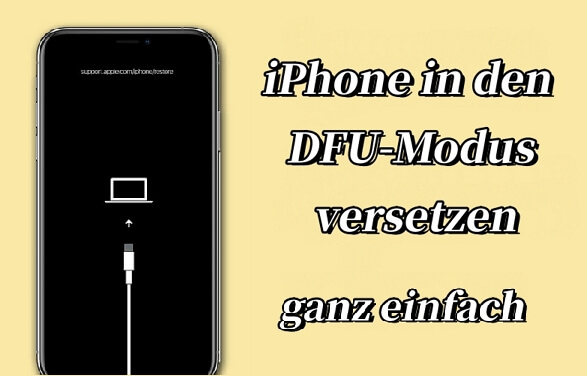 Anleitung: iPhone in DFU Modus versetzen [2024]