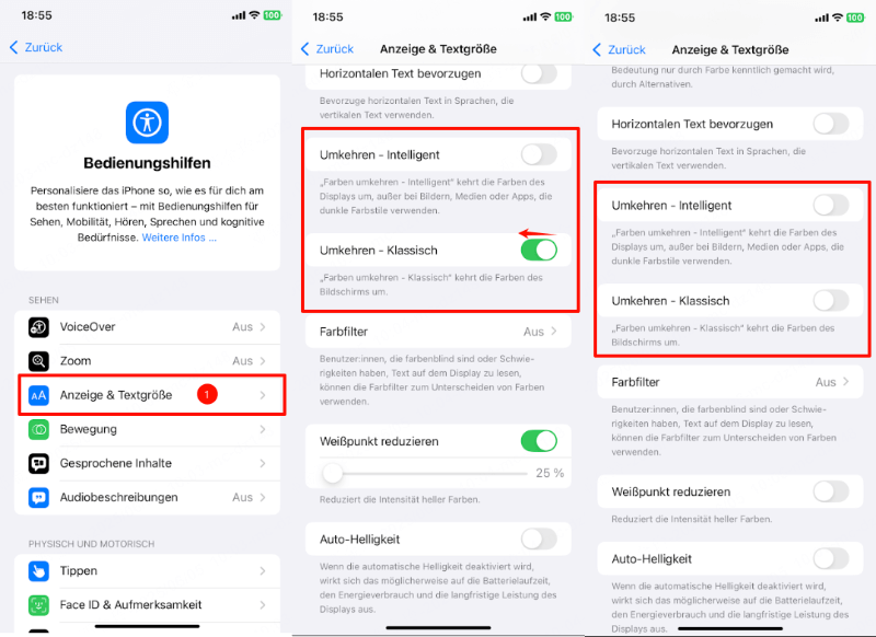 iPhone Farbe umkehren rückgängig