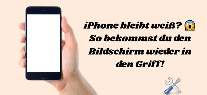 iPhone weißer Bildschirm bleibt? Hier sind 6 Tipps (iOS 18/17/16)
