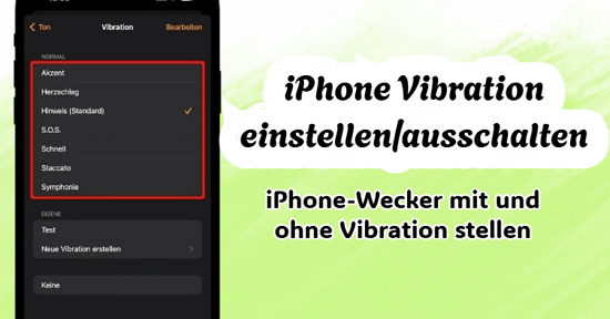 [2024] iPhone Vibration einstellen/ausschalten - Superpraktisches Tutorial hier ansehen!