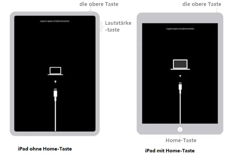 iPad weißer Bildschirm schwarzer Apfel mit Wiederherstellungsmodus beheben