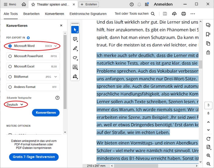 PDF in Word konvertieren