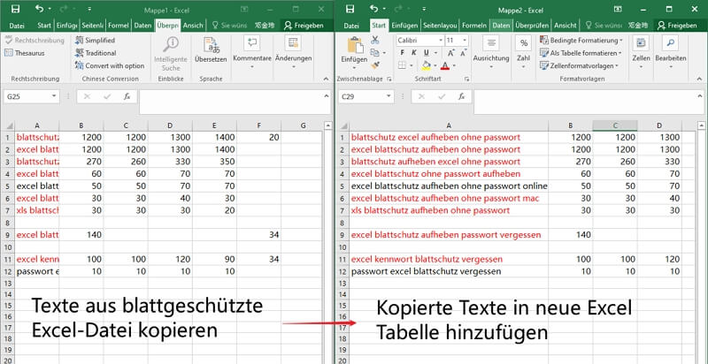 Texte aus blattgeschützte 
Excel-Datei kopieren und hinzufügen