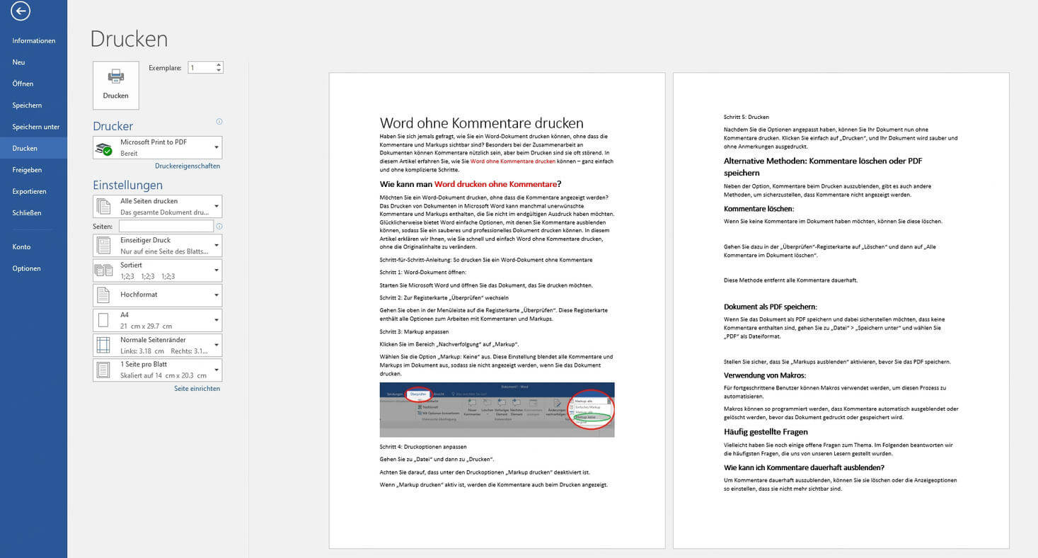 Word Datei vor Drucken vorschauen
