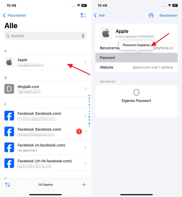 ios 18 passwörter finden und kopieren