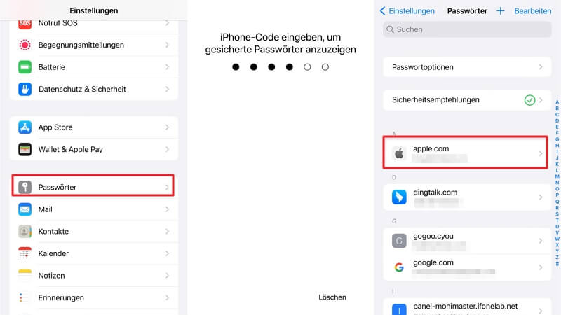 iOS gespeicherter Passwörter