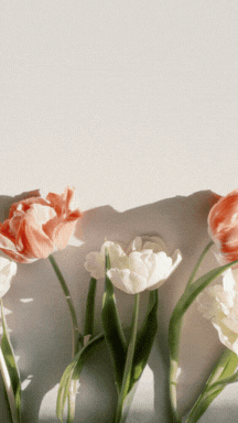 GIF Bilder vom Muttertag vorbereiten