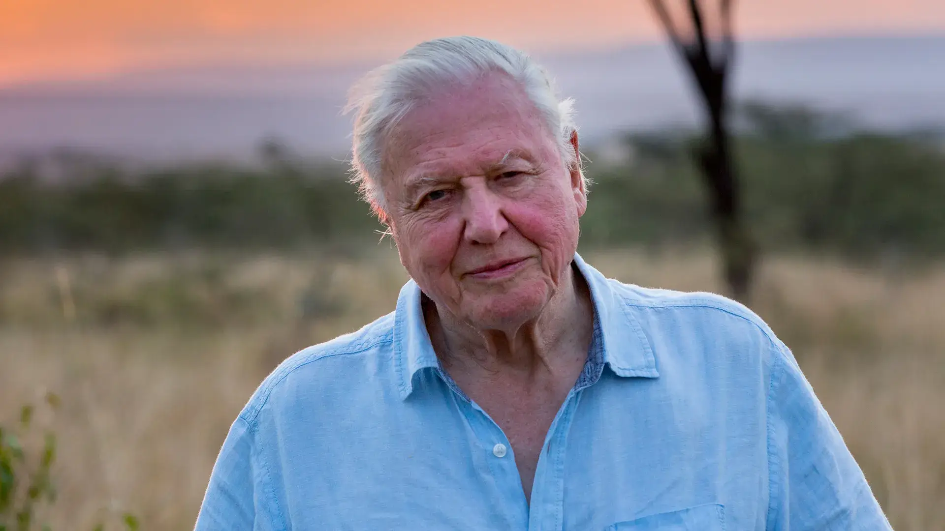 David Attenborough TTS