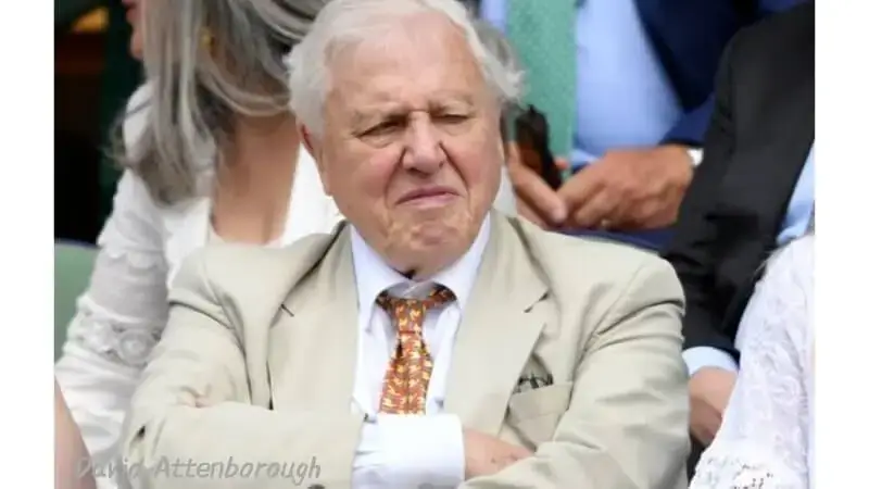 Wofür kann ich die David Attenborough AI Voice verwenden