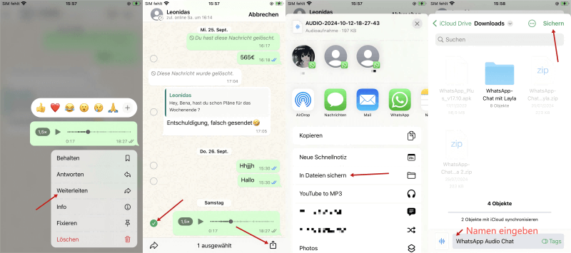 WhatsApp Sprachnachrichten auf iPhone speichern