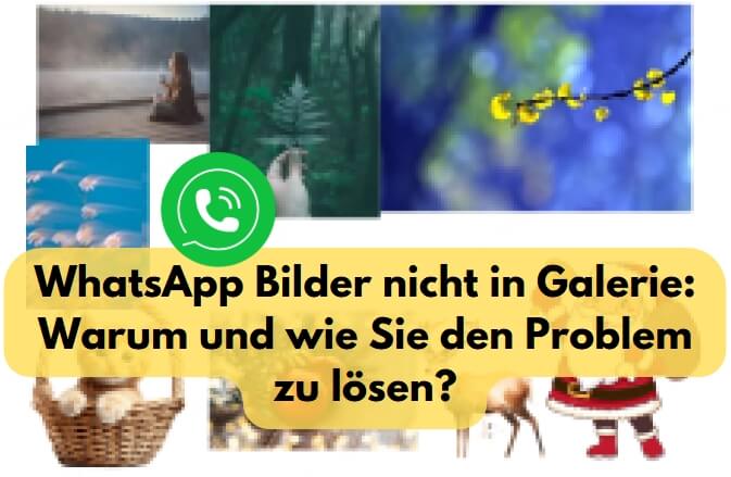 whatsapp bilder nicht in galerie