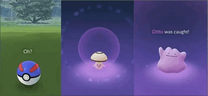 fange ditto pokemon go